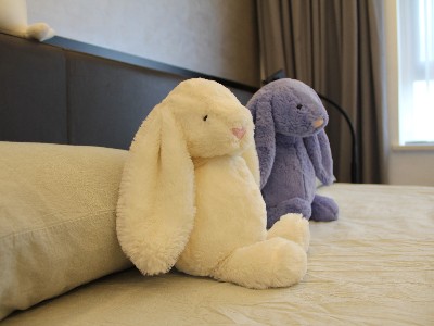 精装房装修到底找全屋定制公司好还是找软装公司好？认清区别很重要